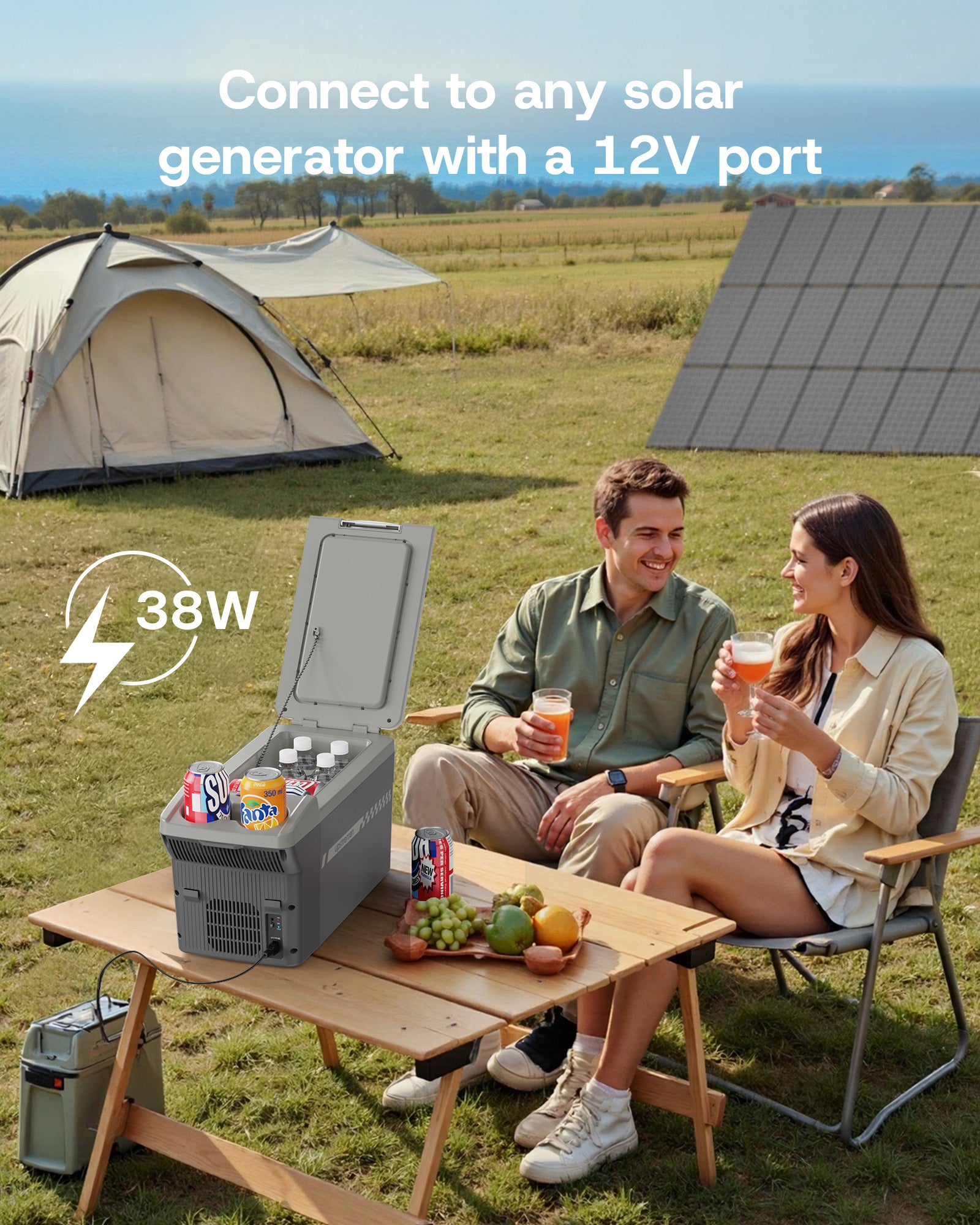 12 QT Car Fridge AR11